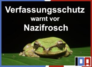 Read more about the article Verfassungsschutz warnt vor Nazifrosch